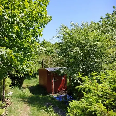 Holiday home Waldluftin Ferienhaus