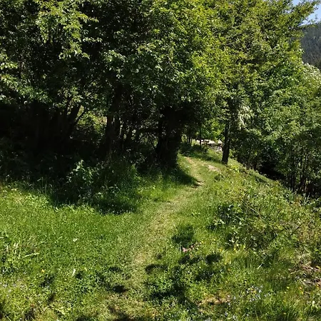 Waldluftin Ferienhaus * Lauscha